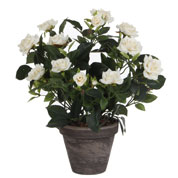 Artificial Plant - White Rose - MICA